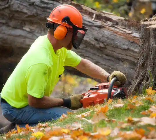 tree services Brooks